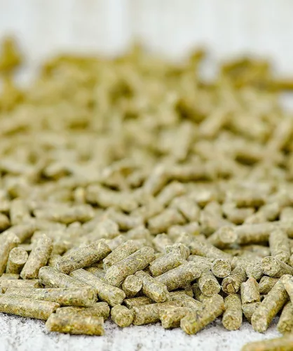 Versele-Laga Cavalor BALANCER - VitAmino lótáp izomtömeg építéséhez 20 kg