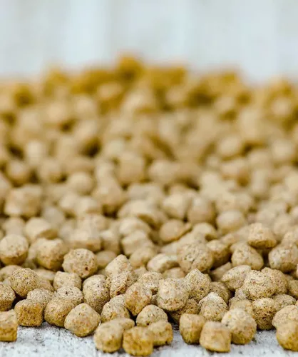 Versele-Laga Cavalor BREEDING Start&Go Soft csikótáp 15kg