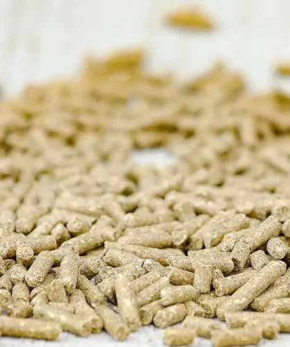 Versele-Laga Cavalor BREEDING Probreed Pellet vemhes, szoptató lótáp 20kg