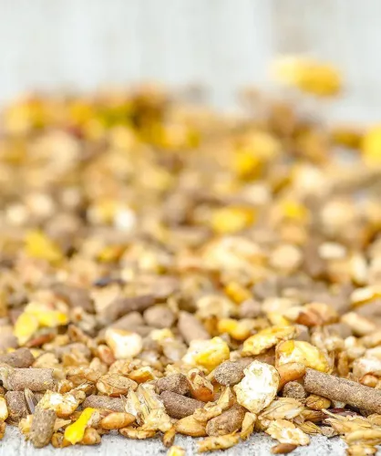 Versele-Laga Cavalor SPORT Perfomix Expert lótáp magasabb adag energia 20kg