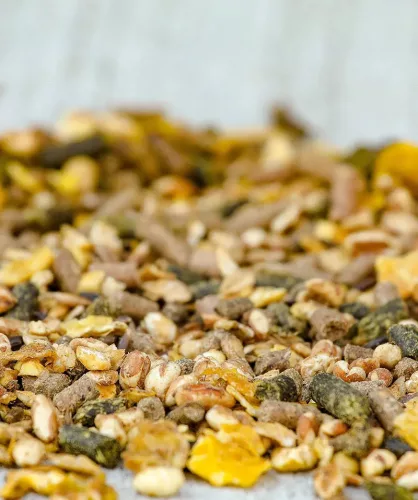 Versele-Laga Cavalor SPORT Shine&Show Expert lótáp a fényes szőrért 20kg