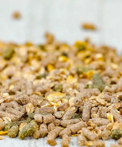 Versele-Laga Cavalor HARMONY Tradition Mix Expert Pihenő lótáp 20kg