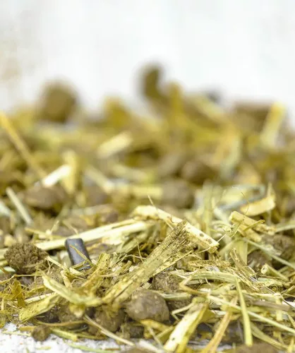 Versele-Laga Cavalor SPECIAL CARE FiberForce Expert rostban gazdag lótáp 15kg