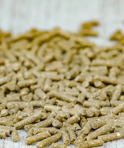 Versele-Laga Cavalor HARMONY Tradition pellet hagyományos pihenő lótáp 20kg