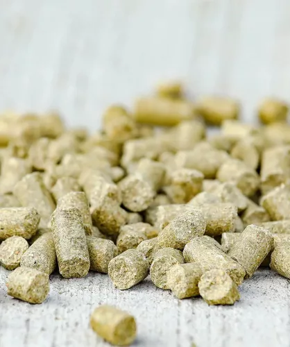 Versele-Laga Cavalor SPORT Action Pellet lótáp rekreációhoz és sporthoz 20kg