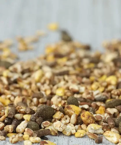 Versele-Laga Cavalor SPORT Endurix Expert sportlótáp folyamatos munkához 20kg