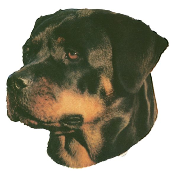Matrica S 009 - Rottweiler 7cm