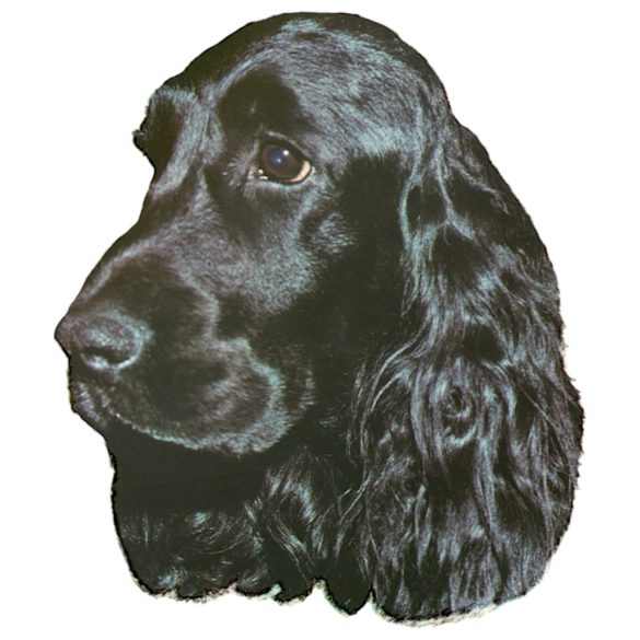 Matrica S 018 - Angol cocker spániel fekete 8cm