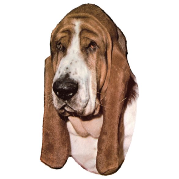 Matrica S 022 - Basset hound 7cm