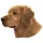 Matrica S 023 - Golden retriever 7cm