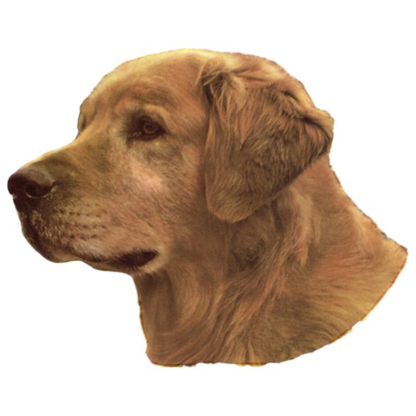 Matrica S 023 - Golden retriever 7cm