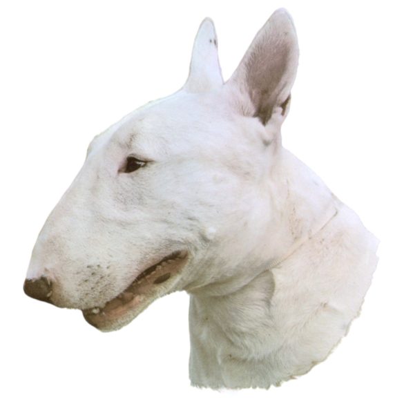 Matrica S 036 - Bull terrier 8cm