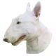 Matrica S 036 - Bull terrier 8cm