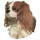 Matrica S 041 - Cavalier King Charles spániel 7cm