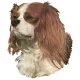 Matrica S 041 - Cavalier King Charles spániel 7cm