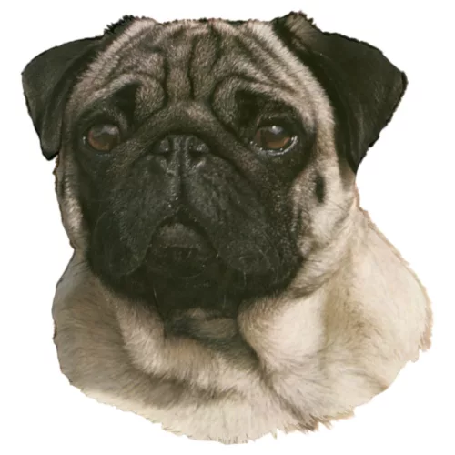 Matrica S 042 - Mopsz 7cm