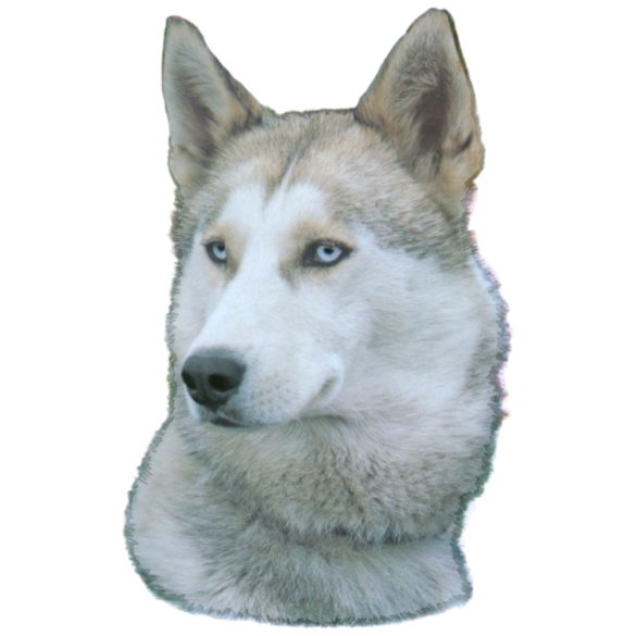 Matrica S 056 - Szibériai husky 7cm
