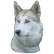Matrica S 056 - Szibériai husky 7cm