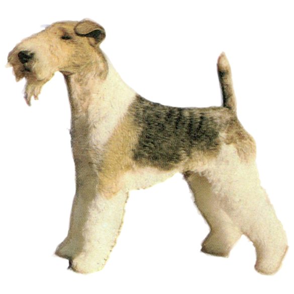 Matrica S 059 - Fox terrier drótszőrű 7cm