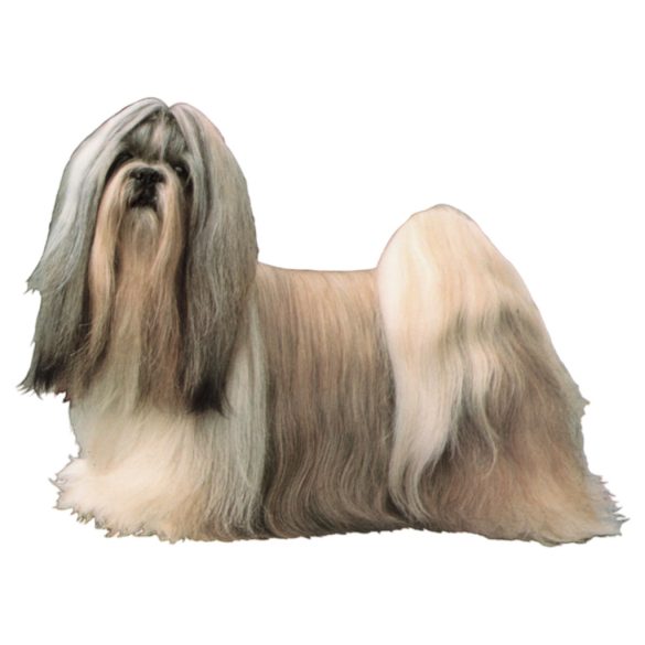 Matrica S 069 - Shih Tzu 7cm