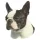 Matrica S 071 - Boston terrier 7cm