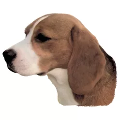 Matrica S 085 - Beagle 7cm