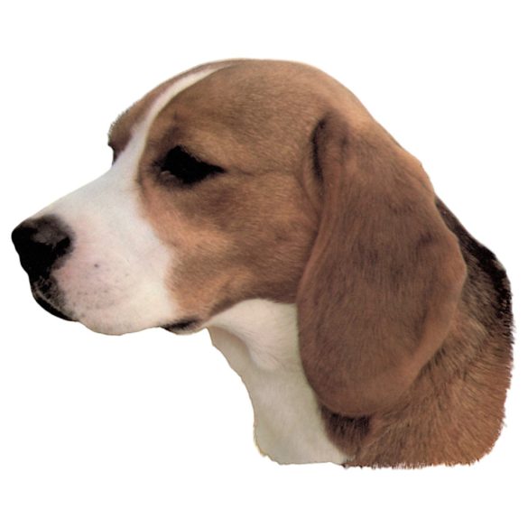 Matrica S 085 - Beagle 7cm