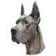 Matrica S 088 - Német dog kék 8cm