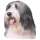 Matrica S 090 - Bearded collie 7cm