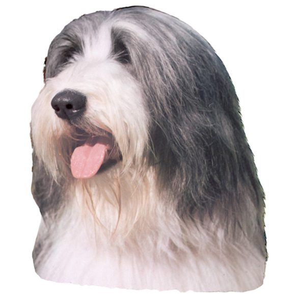 Matrica S 090 - Bearded collie 7cm
