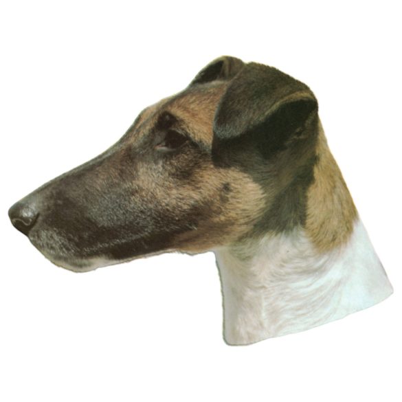 Matrica S 105 - Fox terrier 6cm