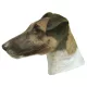 Matrica S 105 - Fox terrier 6cm