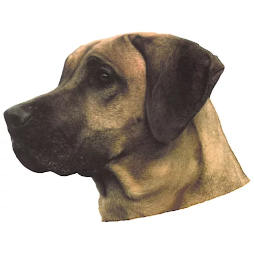 Matrica S 116 - Rodéziai ridgeback 8cm