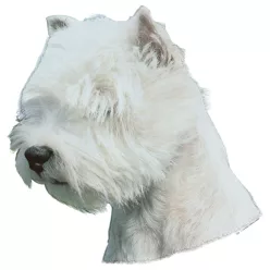 Matrica S 126 - West Highland White terrier (Westie) 7cm