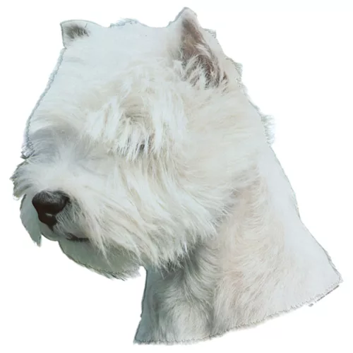 Matrica S 126 - West Highland White terrier (Westie) 7cm