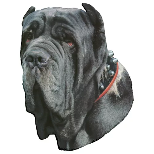 Matrica S 131 - Nápolyi masztiff 8cm