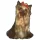 Matrica S 141 - Yorkshire terrier 7cm