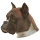 Matrica S 143 - Boxer vágott fülű 7cm