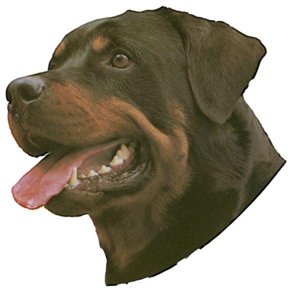 Matrica S 144 - Rottweiler 7cm