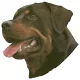Matrica S 144 - Rottweiler 7cm
