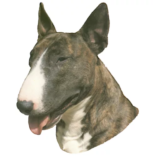 Matrica S 165 - Bullterrier 7cm