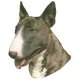 Matrica S 165 - Bullterrier 7cm