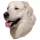 Matrica S 175 - Kuvasz 7cm