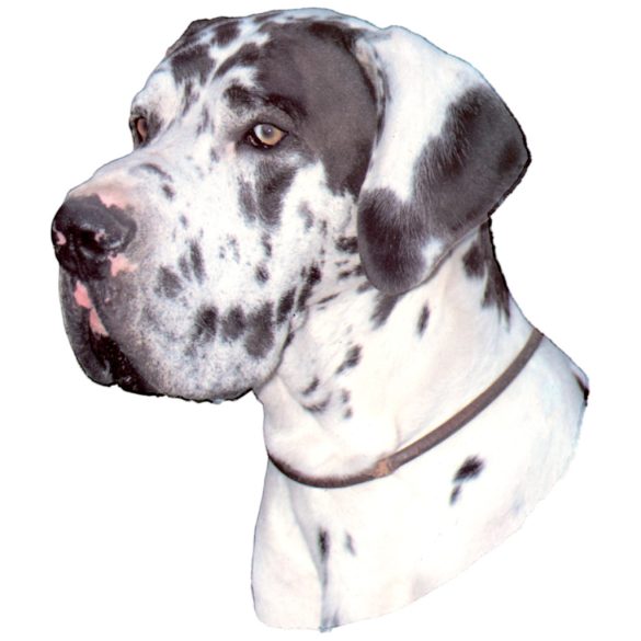 Matrica S 185 - Német dog 8cm