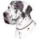 Matrica S 185 - Német dog 8cm