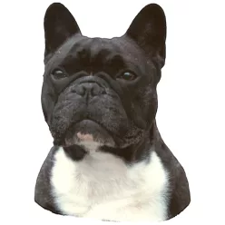Matrica S 186 - Francia bulldog 7cm
