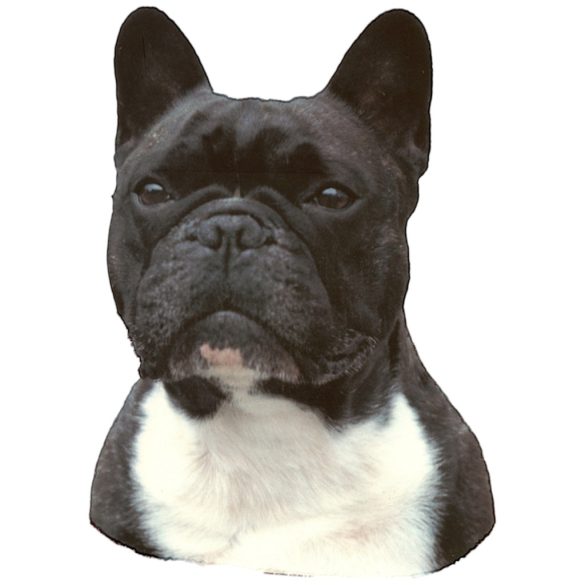 Matrica S 186 - Francia bulldog 7cm