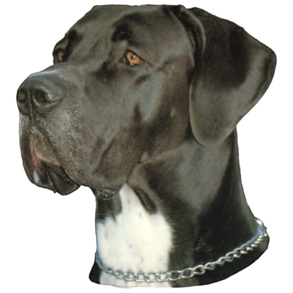 Matrica S 191 - Német dog 8cm