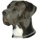 Matrica S 191 - Német dog 8cm