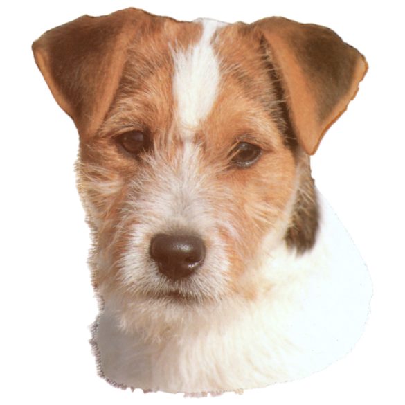 Matrica S 192 - Jack Russel terrier 8cm